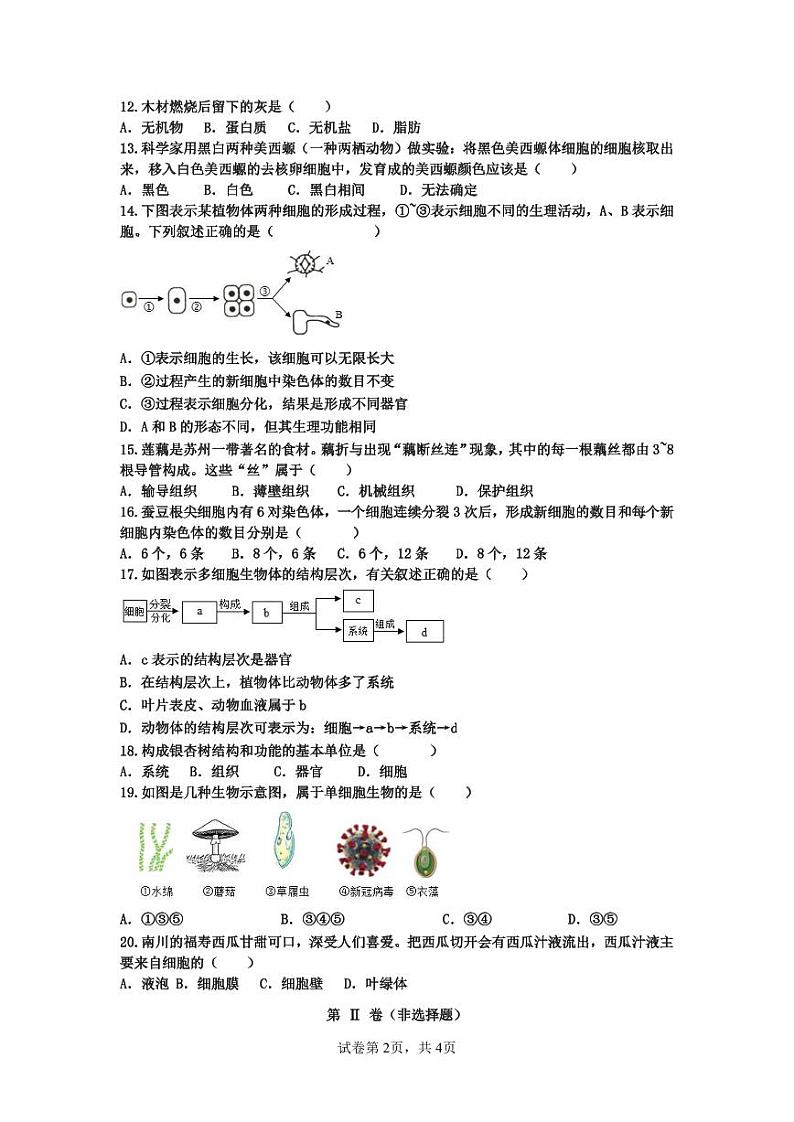 重庆市南川区三校联盟2024-2025学年七年级上学期期中考试生物试题（A卷）第2页