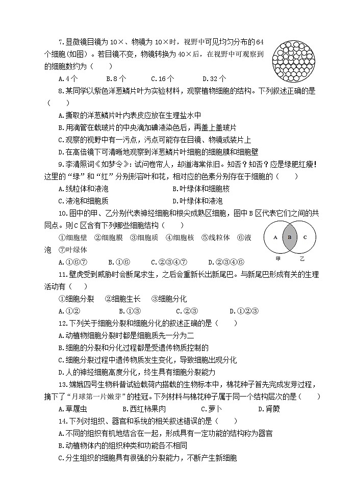 山东省滨州市滨城区2024-2025学年七年级上学期期中考试生物试题第2页