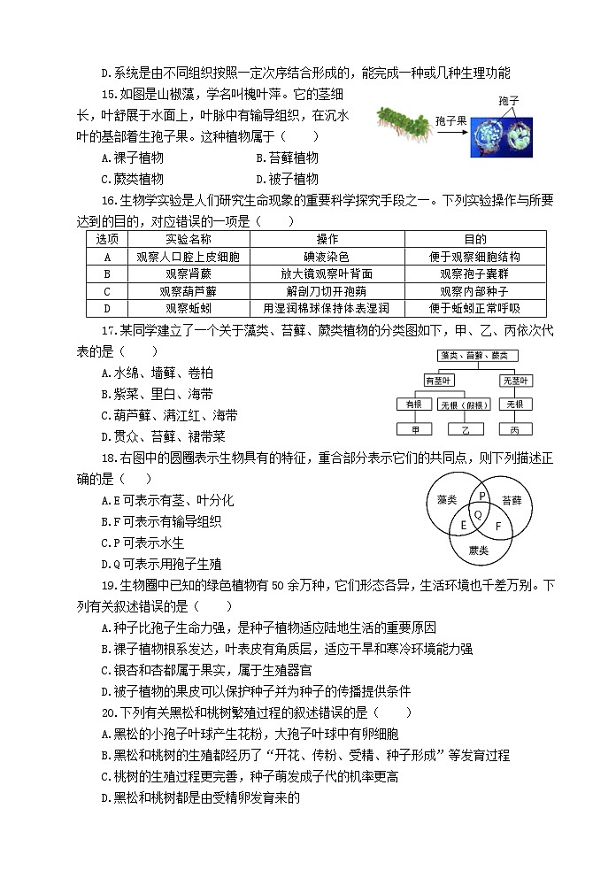 山东省滨州市滨城区2024-2025学年七年级上学期期中考试生物试题第3页