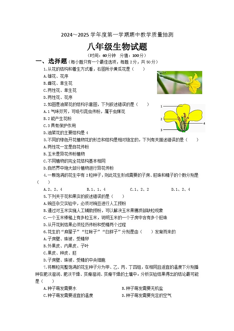 山东省滨州市滨城区2024-2025学年八年级上学期期中考试生物试题第1页