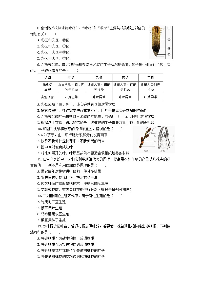 山东省滨州市滨城区2024-2025学年八年级上学期期中考试生物试题第2页