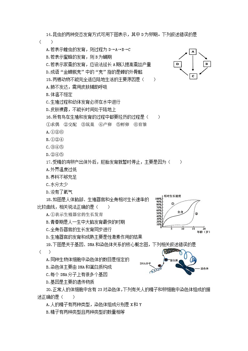 山东省滨州市滨城区2024-2025学年八年级上学期期中考试生物试题第3页