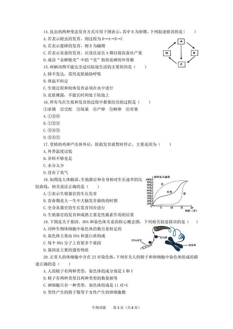 2024八上期中第3页