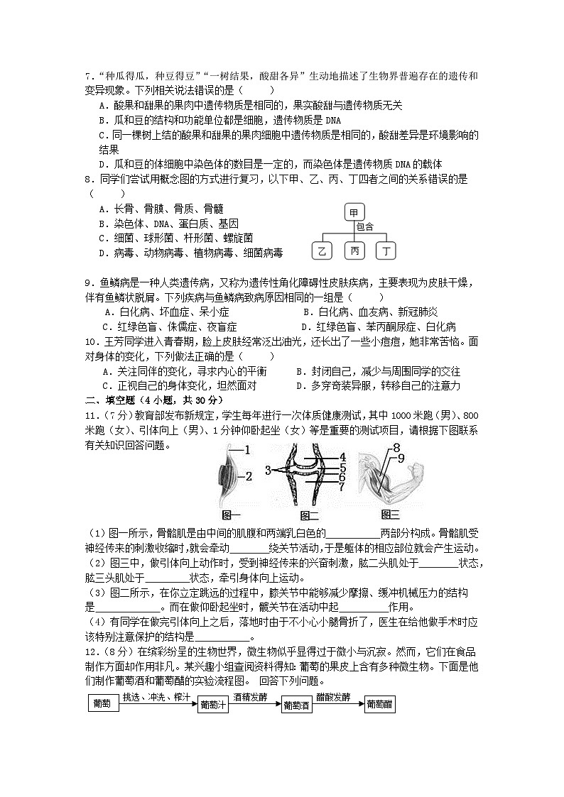 2024年11月八年级生物月考(1)第2页