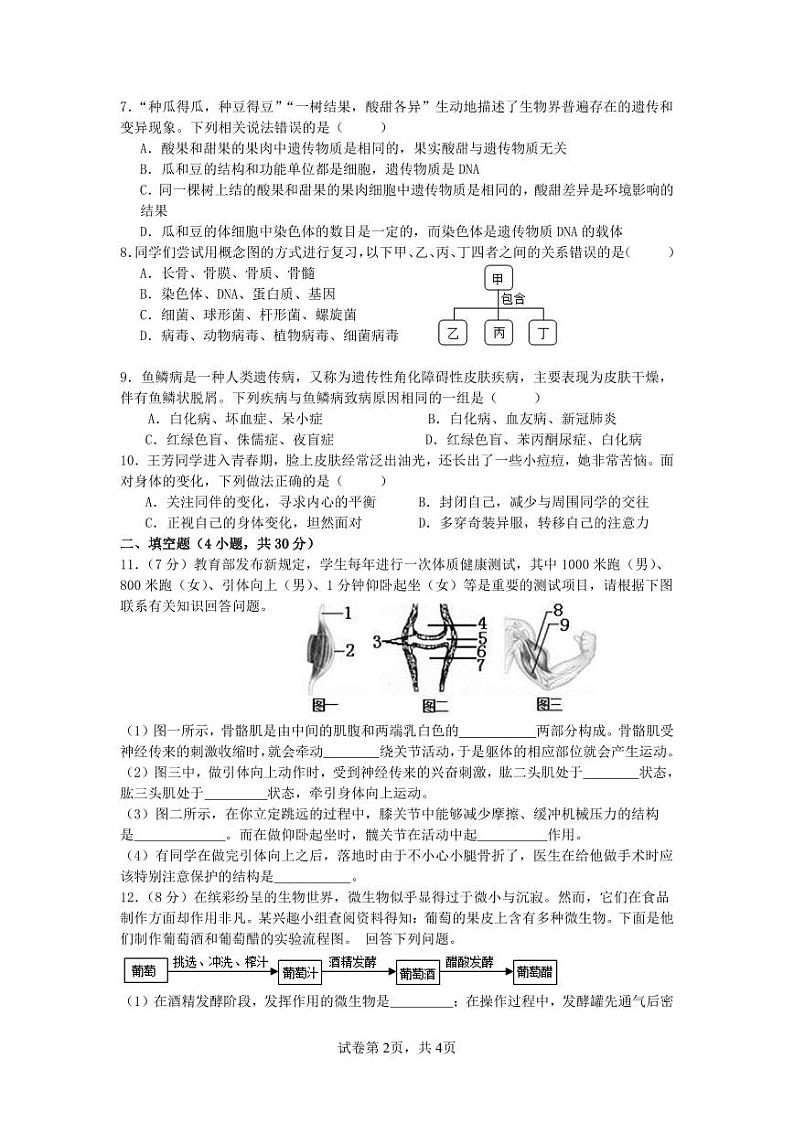 2024年11月八年级生物月考(1)第2页