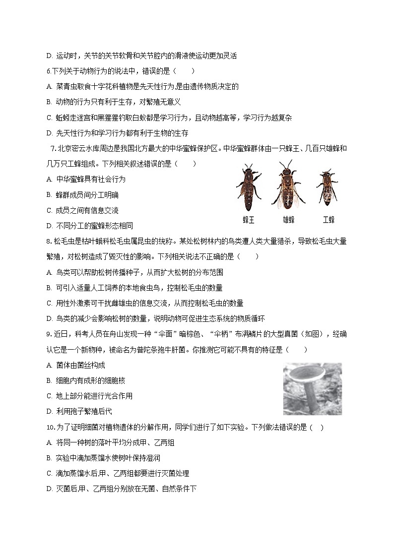 生物第2页