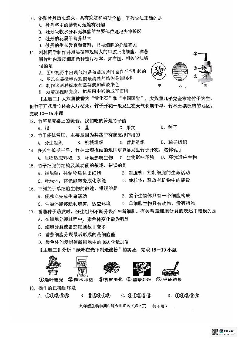 广东省揭阳市普宁市流沙南片区2024-2025学年九年级上学期期中考试生物试题第2页