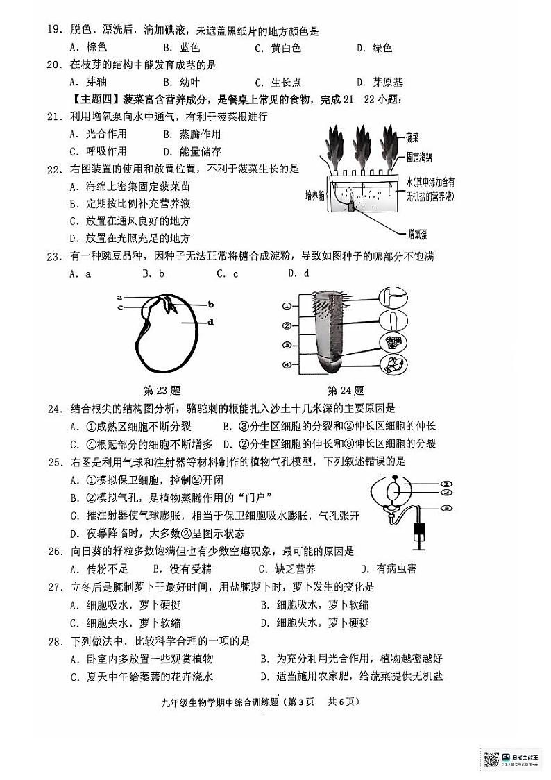 广东省揭阳市普宁市流沙南片区2024-2025学年九年级上学期期中考试生物试题第3页