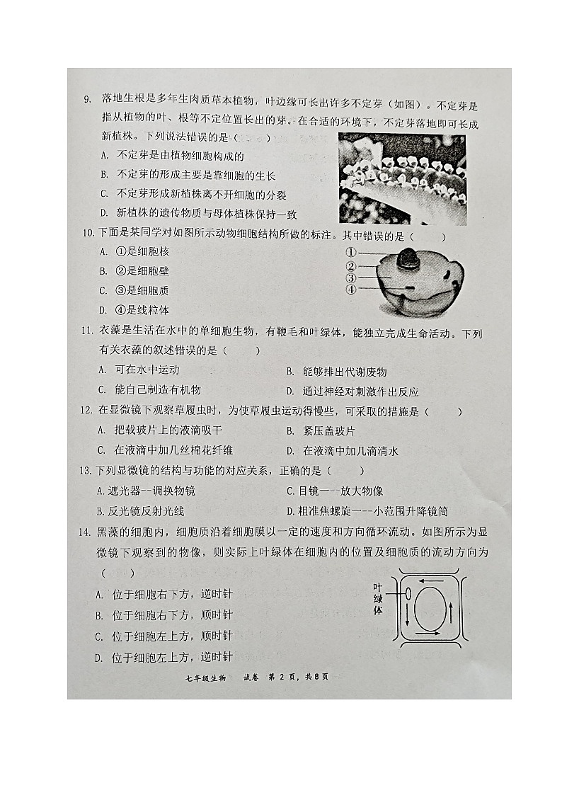 福建省三明市宁化县2024-2025学年七年级上学期期中考试生物试题第2页