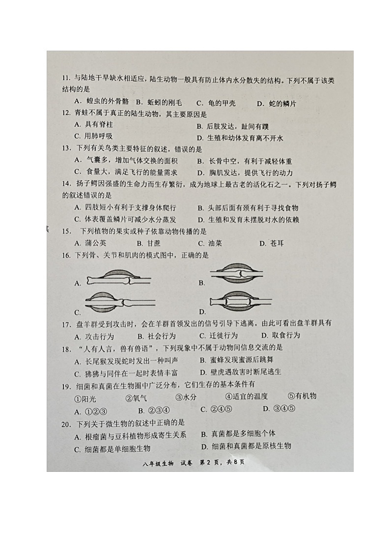 福建省三明市宁化县2024-2025学年八年级上学期期中考试生物试题第2页