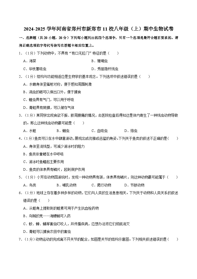 河南省郑州市新郑市11校2024-2025学年八年级上学期期中考试生物试卷第1页