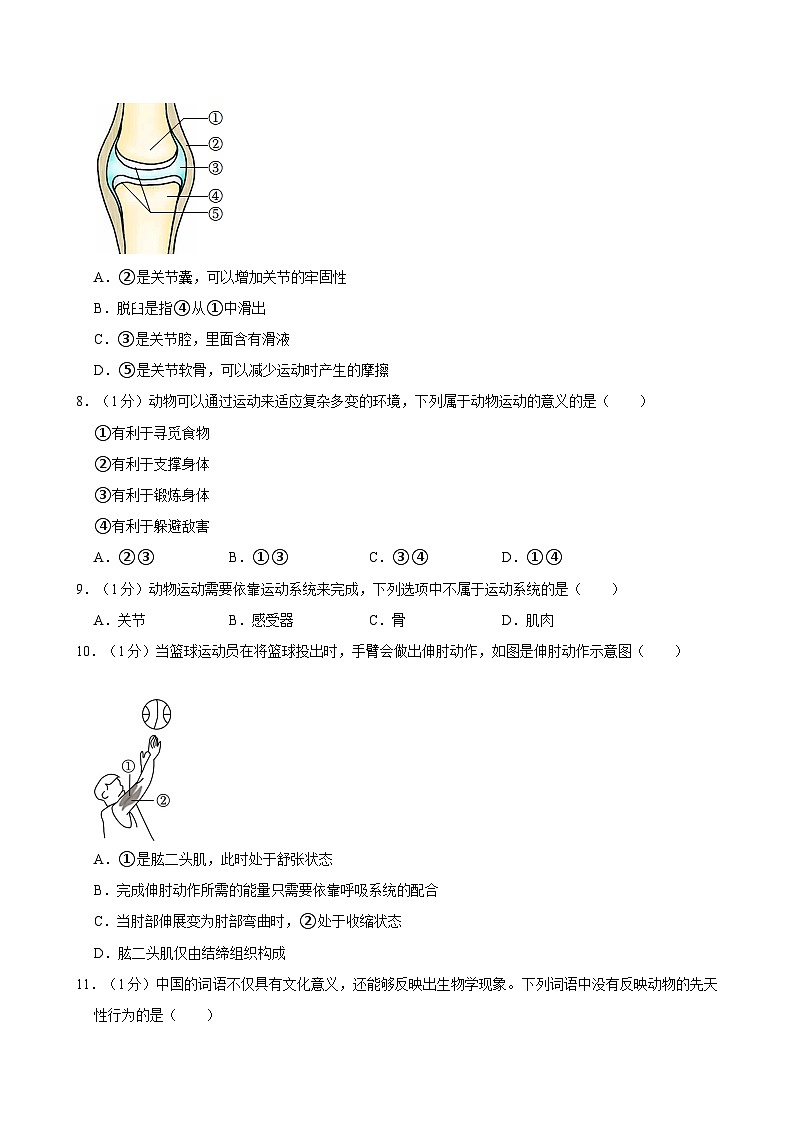 河南省郑州市新郑市11校2024-2025学年八年级上学期期中考试生物试卷第2页