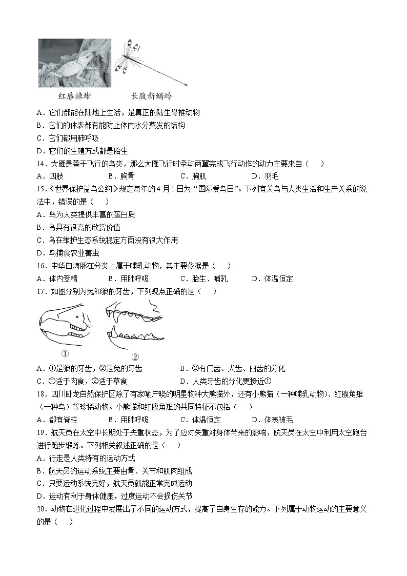 贵州省六盘水市2024-2025学年八年级上学期期中生物试题第3页