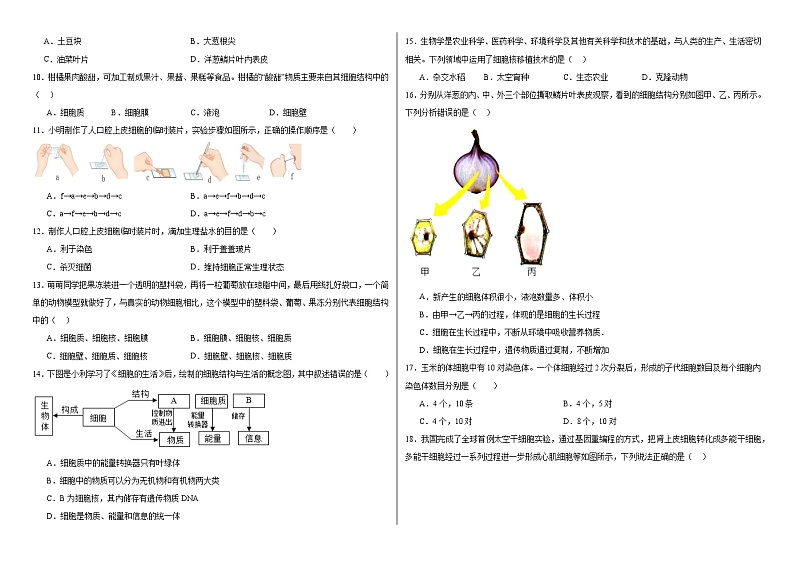 河北省承德市承德县第一中学2024-2025学年七年级上学期期中考试生物试题第2页