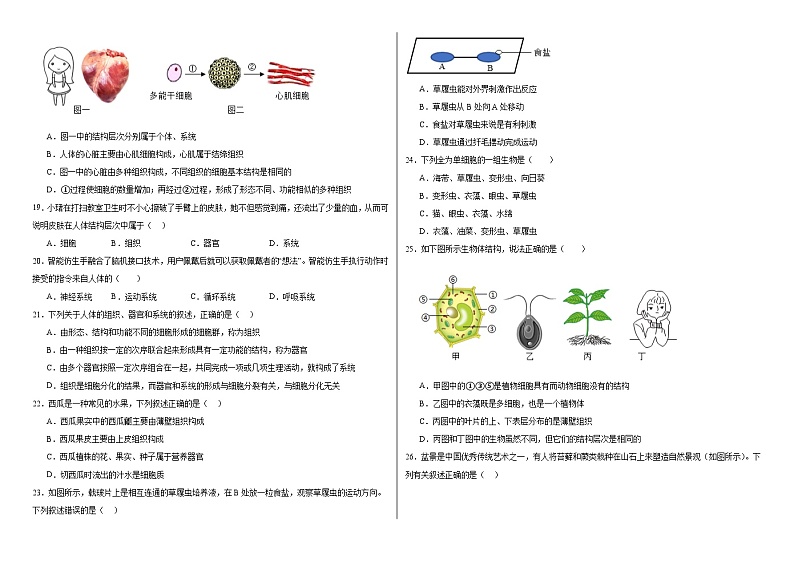 河北省承德市承德县第一中学2024-2025学年七年级上学期期中考试生物试题第3页