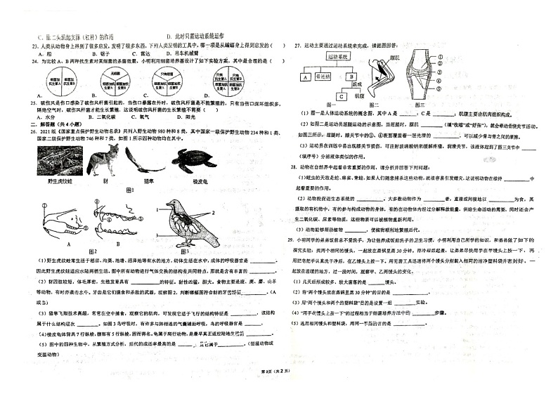 安徽省舒城第二中学2024-2025学年八年级上学期11月期中生物试题第2页