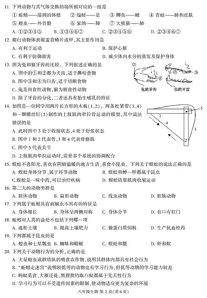 福建省三明市沙县2024-2025学年八年级上学期期中考试生物试题第2页