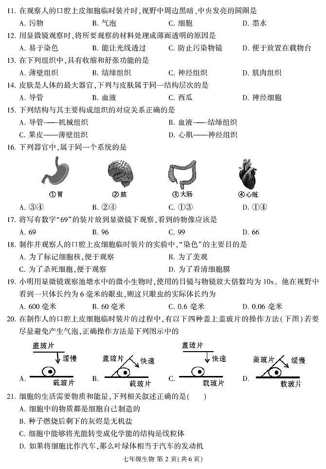 福建省三明市沙县2024-2025学年七年级上学期期中考试生物试题第2页