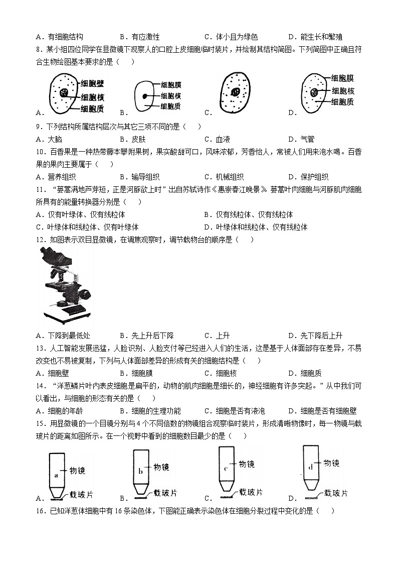 山东省日照市东港区新营中学2024-2025学年七年级上学期期中生物学试题(无答案)第2页