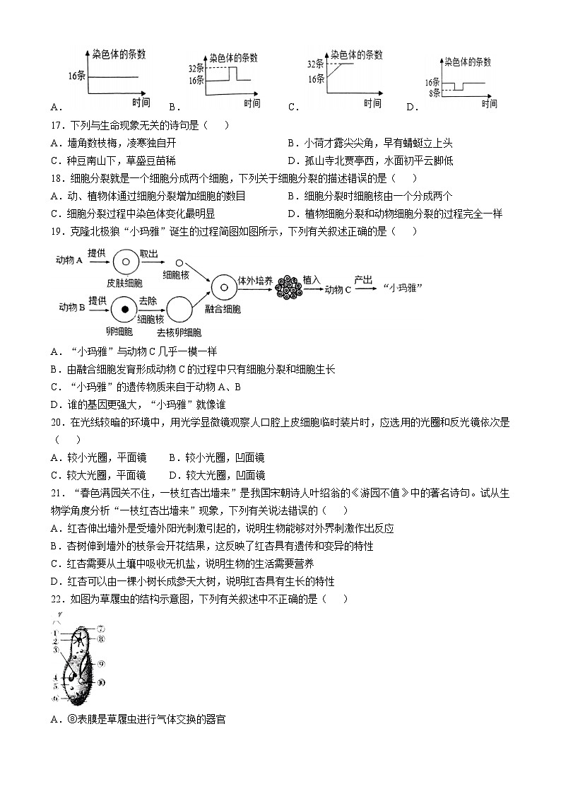 山东省日照市东港区新营中学2024-2025学年七年级上学期期中生物学试题(无答案)第3页