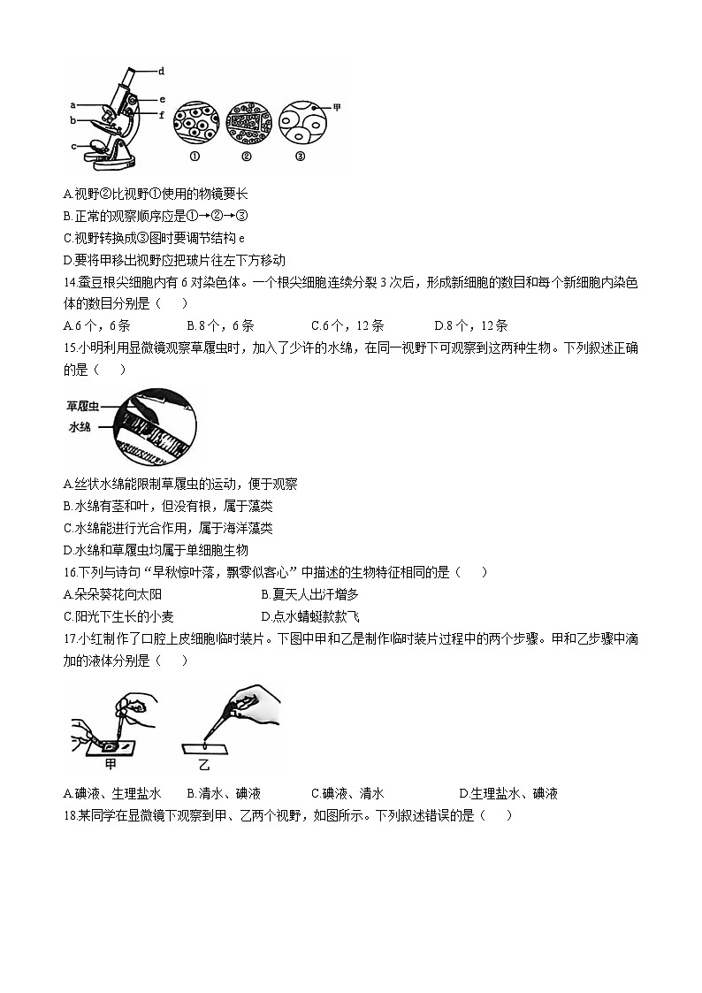 山东省青岛市即墨区实验学校2024-2025学年七年级上学期期中生物学试题第3页
