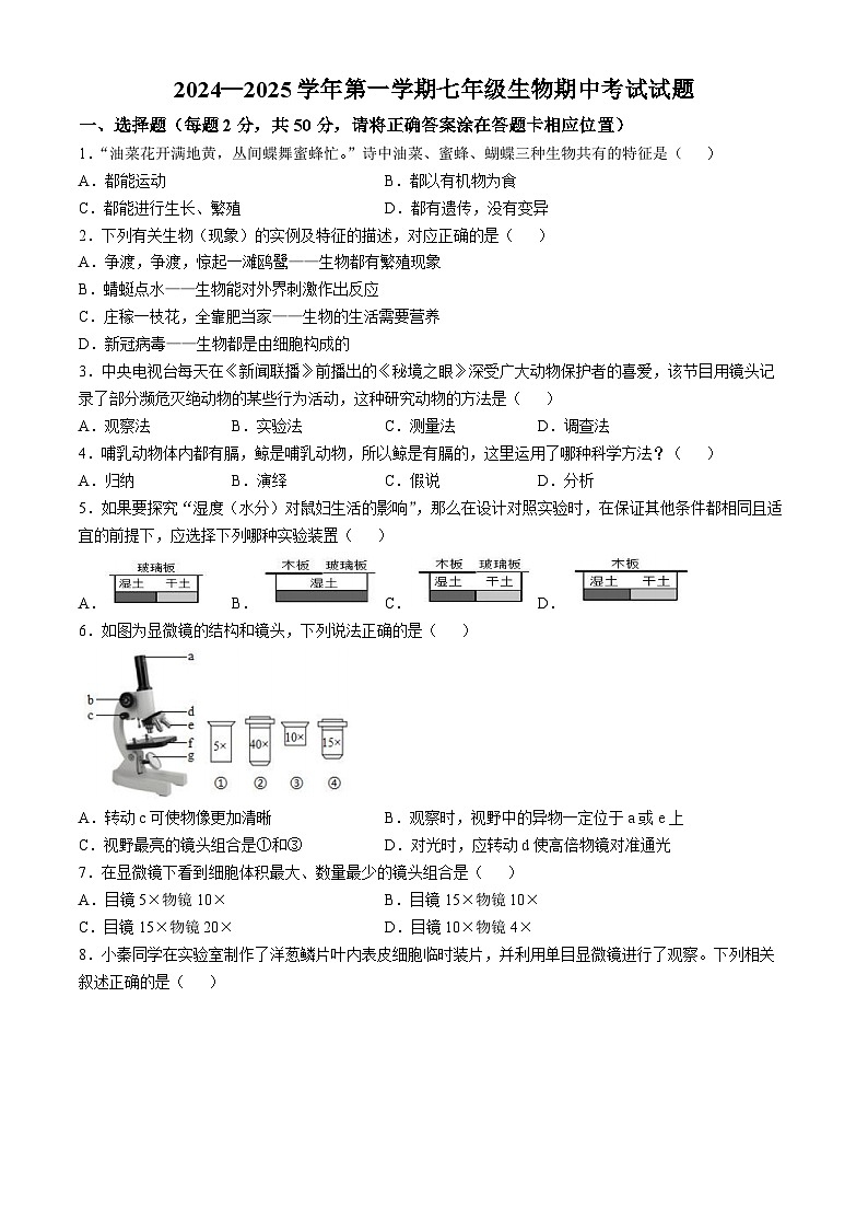 山东省德州市宁津县第二实验中学2024-2025学年七年级上学期期中生物学试题第1页