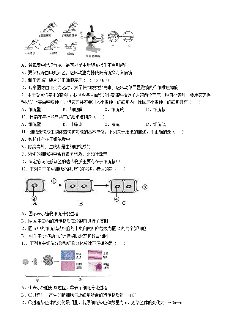 山东省德州市宁津县第二实验中学2024-2025学年七年级上学期期中生物学试题第2页