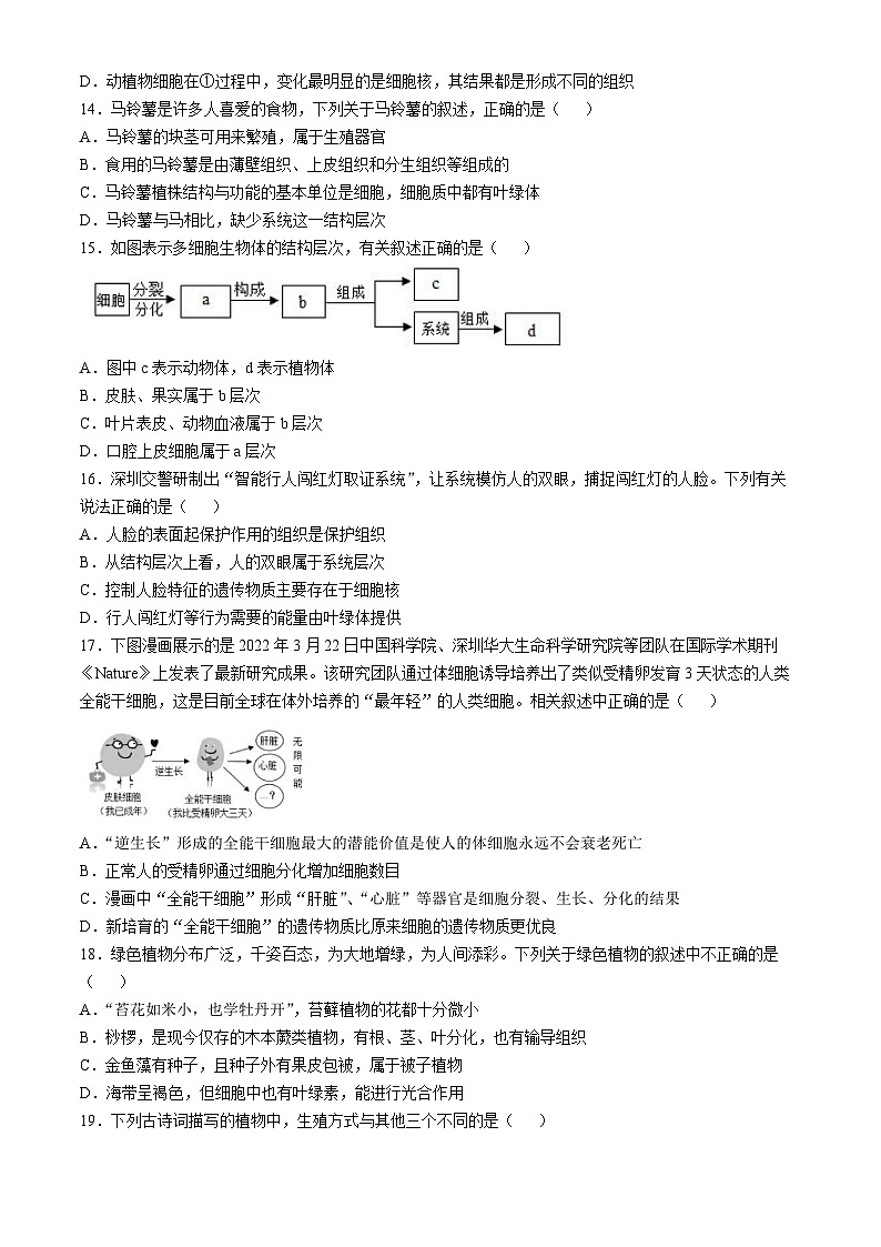 山东省德州市宁津县第二实验中学2024-2025学年七年级上学期期中生物学试题第3页