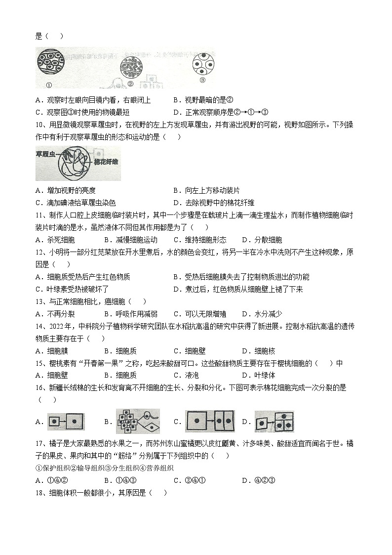 河北省廊坊市三河市第九中学2024-2025学年七年级上学期期中生物学试题(无答案)第2页