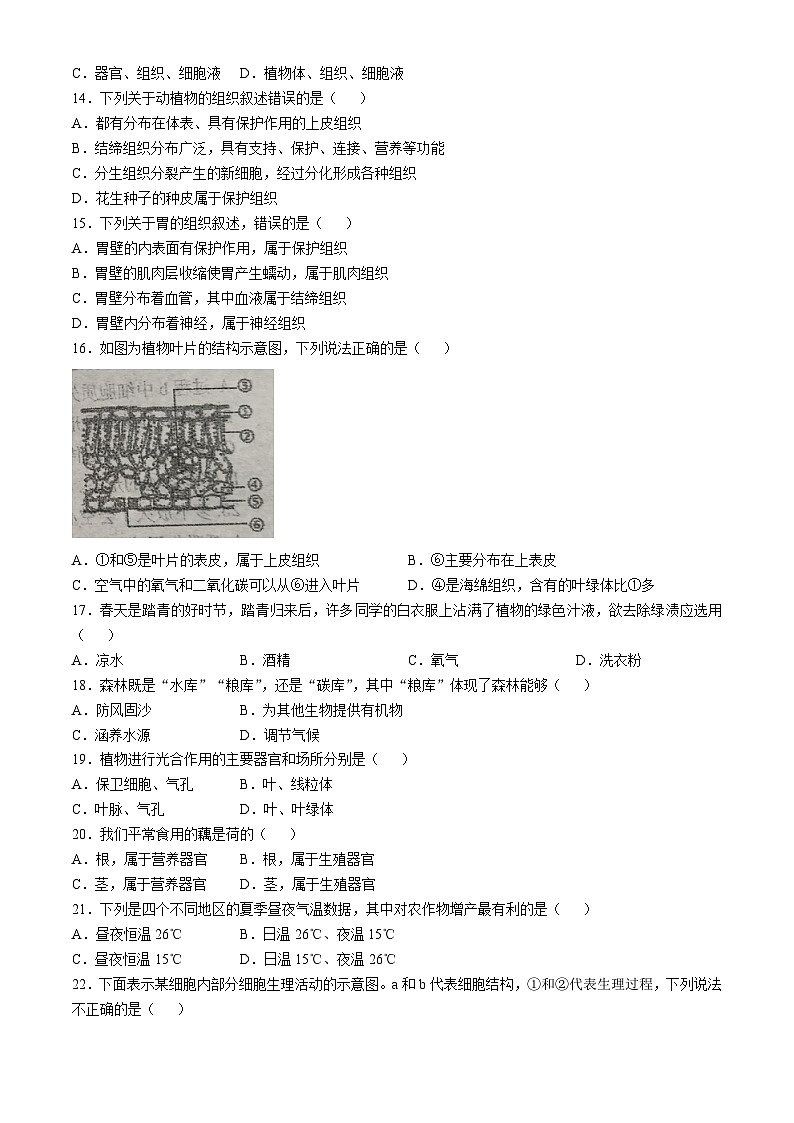 河北省衡水市第七中学2024-2025学年七年级上学期期中生物学试题(无答案)第2页