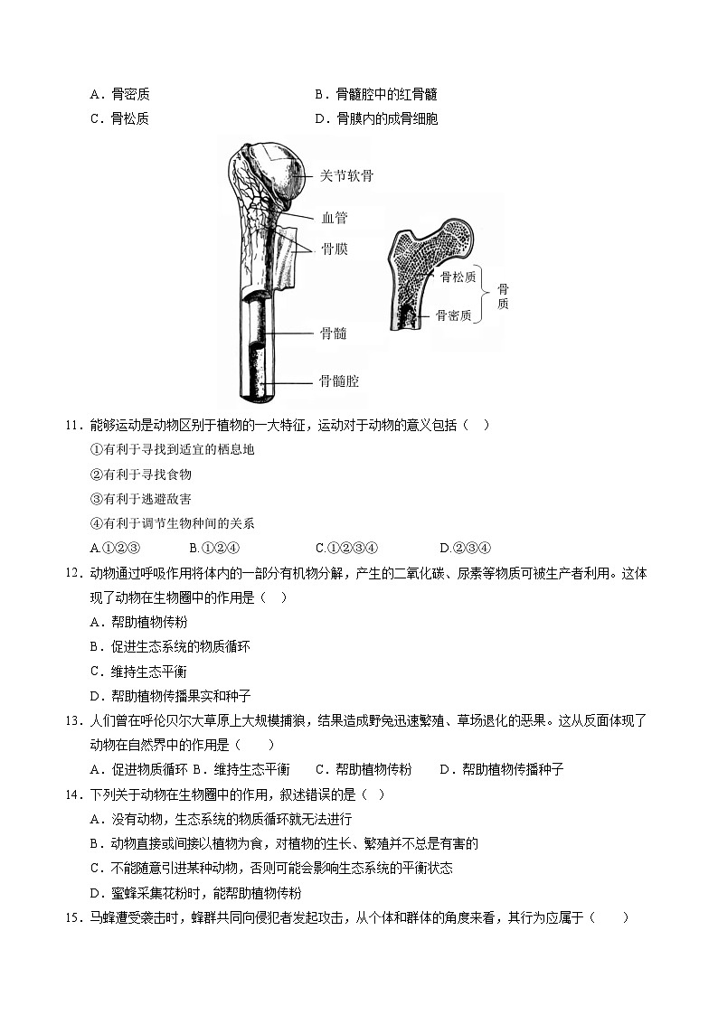 八年级生物第三次月考卷【测试范围：人教版八上全部】（考试版A4）（广东专用）第3页