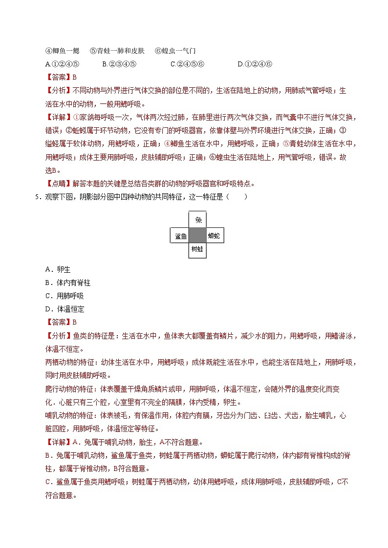 八年级生物第三次月考卷（全解全析）（广东专用）第3页