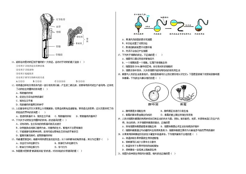 八年级生物第三次月考卷【测试范围：人教版八上全部】（考试版A3）（广东专用）第2页