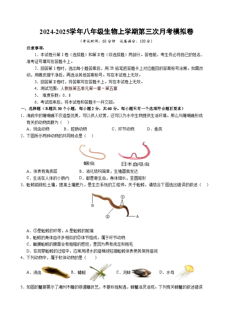 八年级生物第三次月考卷【测试范围：人教版八上第五单元1~5章】（考试版A4）（广州专用）第1页