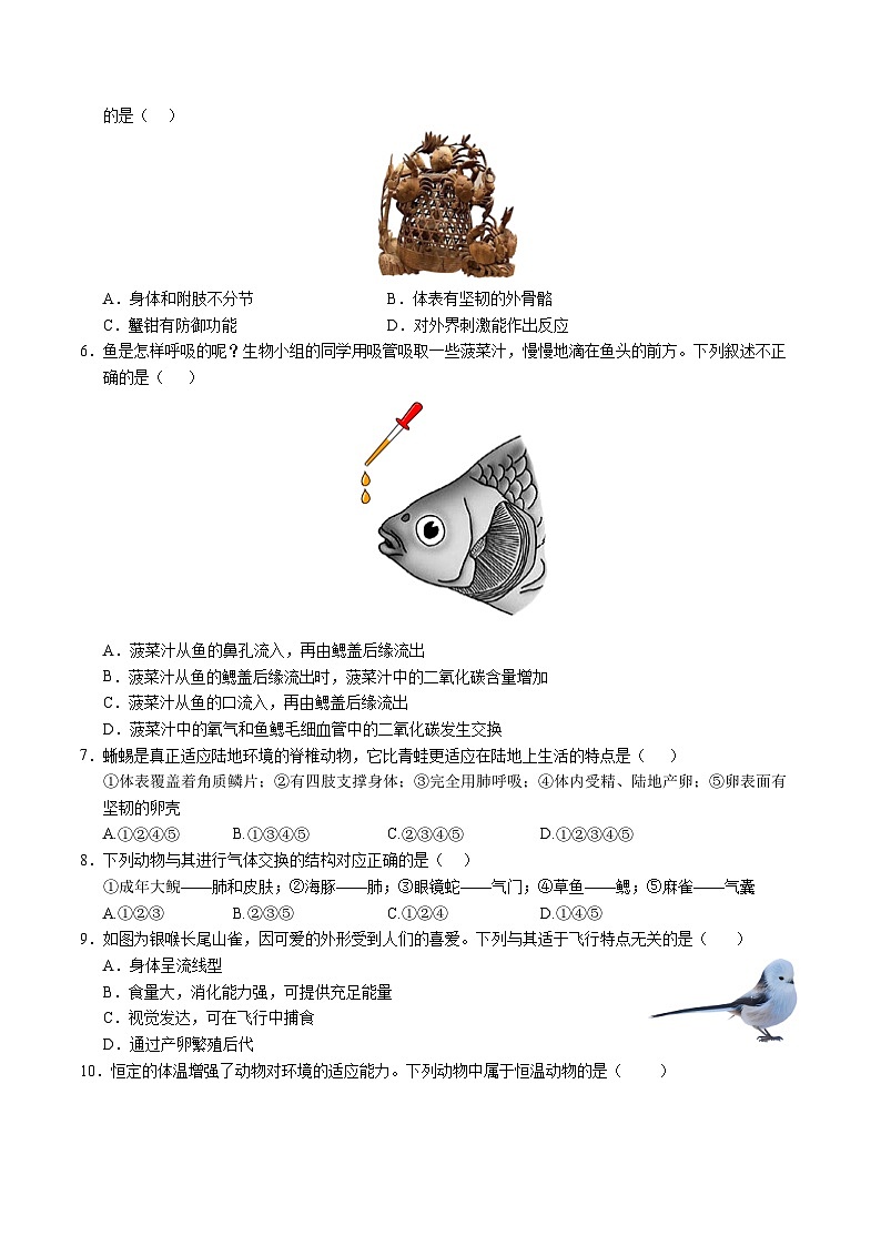 八年级生物第三次月考卷【测试范围：人教版八上第五单元1~5章】（考试版A4）（广州专用）第2页