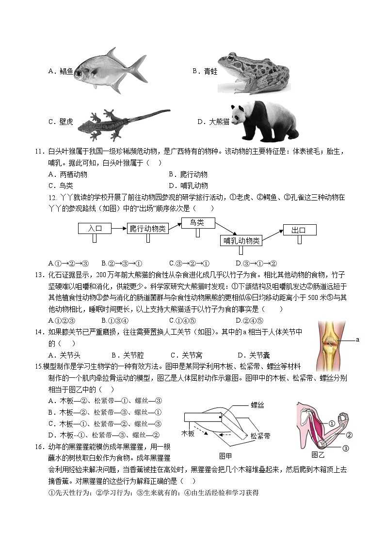 八年级生物第三次月考卷【测试范围：人教版八上第五单元1~5章】（考试版A4）（广州专用）第3页