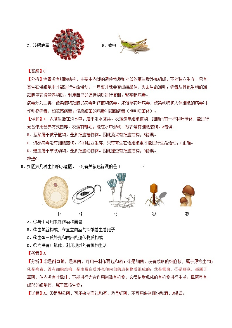 八年级生物第三次月考卷（全解全析）（江苏专用，苏教版）第3页