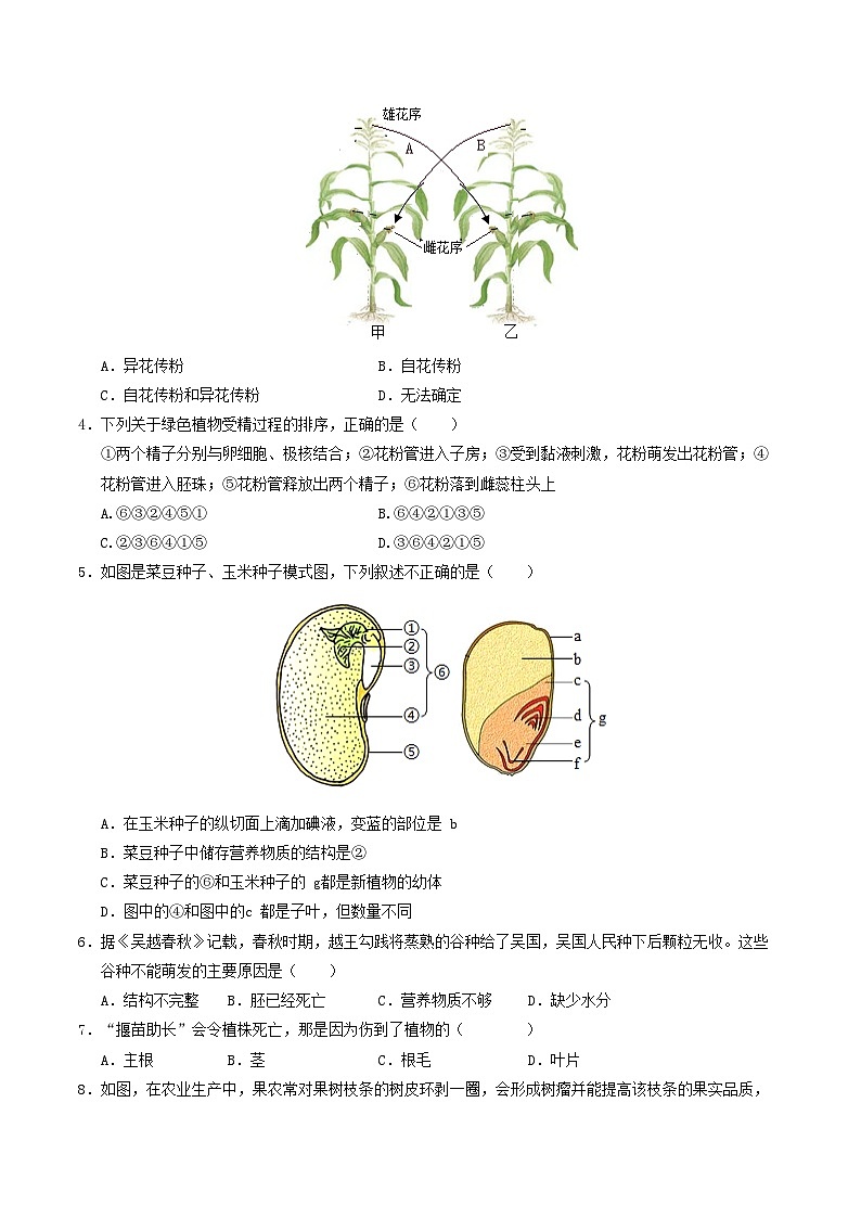 八年级生物第三次月考卷【测试范围：前三章、第四章一节】（A4考试版）（济南版）第2页