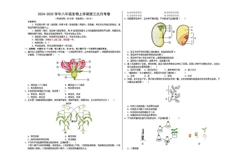 八年级生物第三次月考卷【测试范围：前三章、第四章一节】（A3考试版）（济南版）第1页