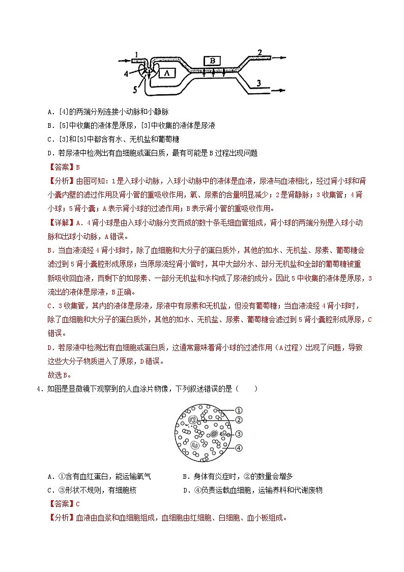 八年级生物第三次月考卷（全解全析）（苏科版）第3页