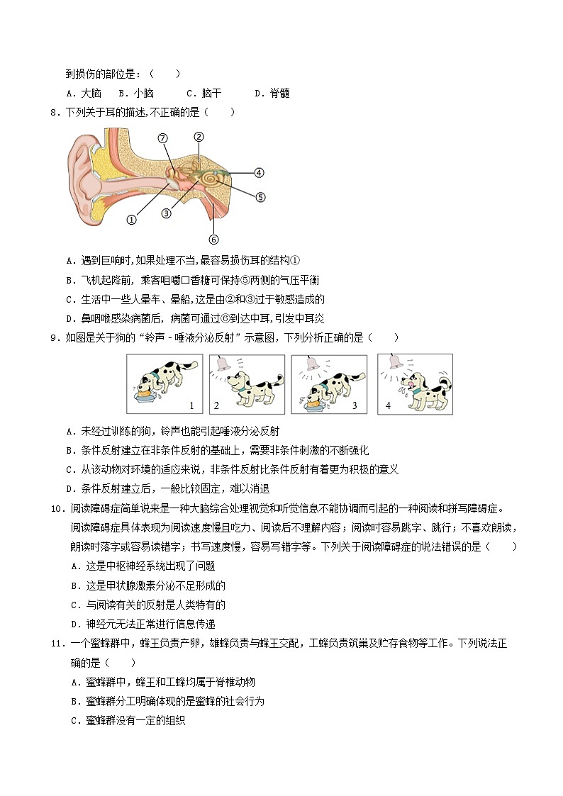 八年级生物第三次月考卷【测试范围：苏科版第15~20章】（考试版A4）第3页