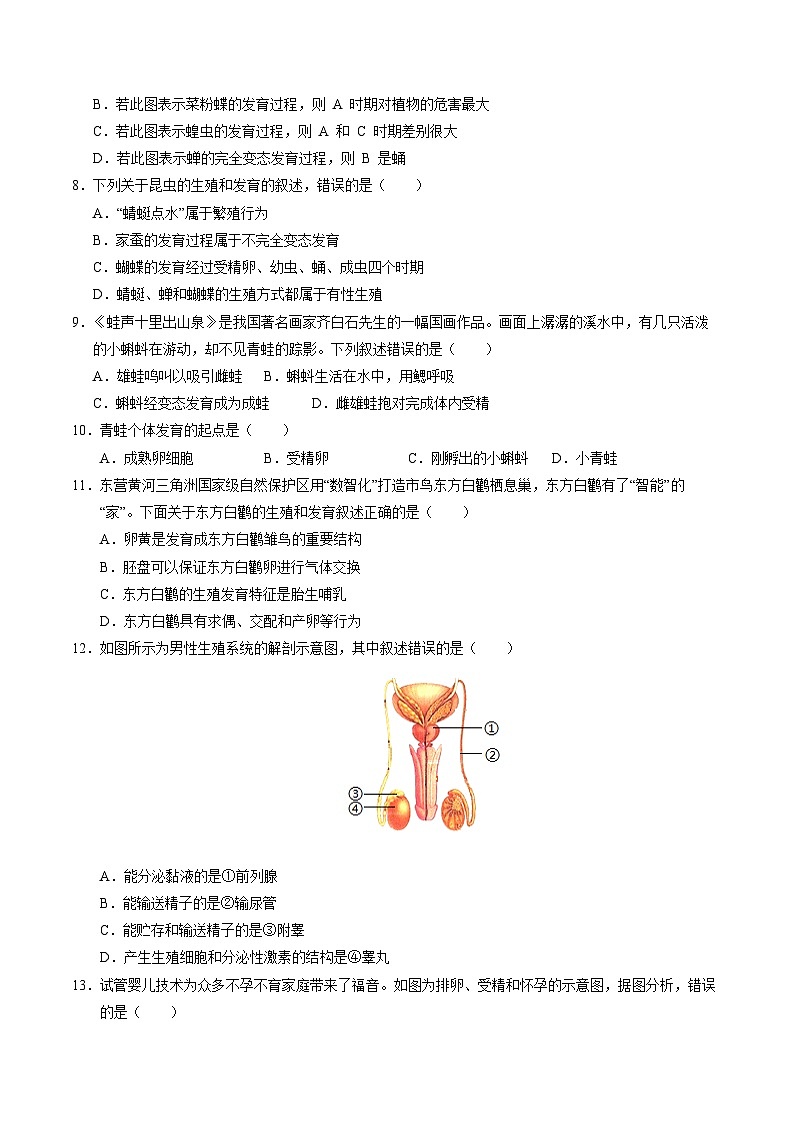 八年级生物第三次月考【测试范围：第一章~第四章第一节】（山东专用）（A4考试版）第3页