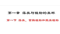 人教版（2024）七年级上册（2024）第一节 藻类、苔藓和蕨类教学ppt课件