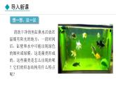 2024人教版生物七年级上册第二单元多种多样的生物第一章藻类与植物的类群2.1.1藻类、苔藓植物和蕨类植物教学课件ppt