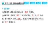 2024人教版生物七年级上册第二单元多种多样的生物第一章藻类与植物的类群2.1.1　藻类、苔藓植物和蕨类植物 习题课件ppt