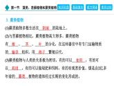 2024人教版生物七年级上册第二单元多种多样的生物第一章藻类与植物的类群2.1.1　藻类、苔藓植物和蕨类植物 习题课件ppt