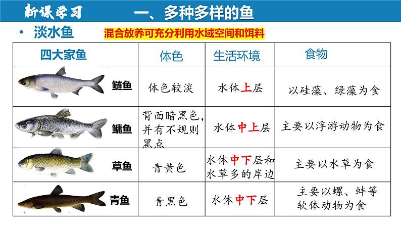 2.2.2+脊椎动物（一）鱼第7页