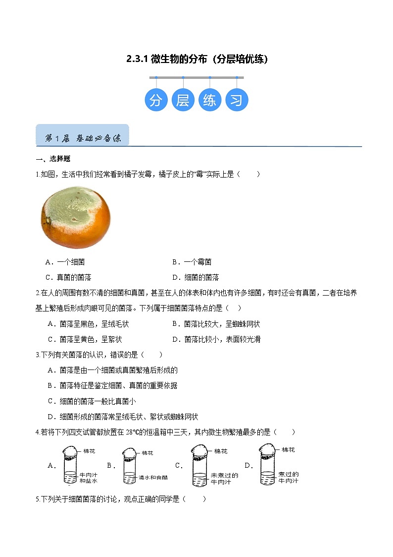 2.3.1 微生物的分布（分层培优练）（原卷版）第1页