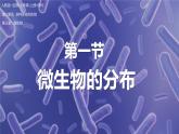 【人教版】七上生物  2.3.1 微生物的分布（课件+练习）