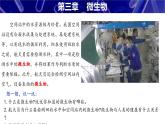 【人教版】七上生物  2.3.1 微生物的分布（课件+练习）